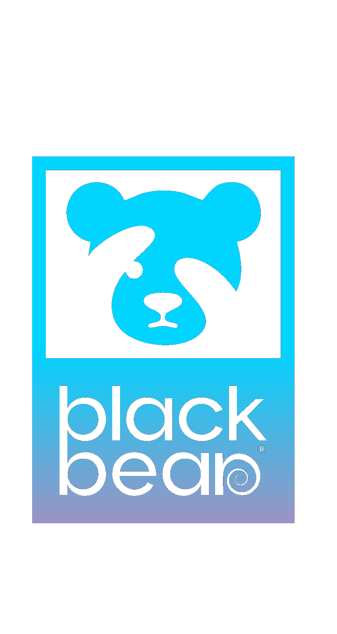Black Bear Tech